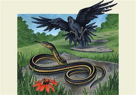  The Two Crows and a Snake - A Timeless Tale of Deception and Trust From Modern Iran!